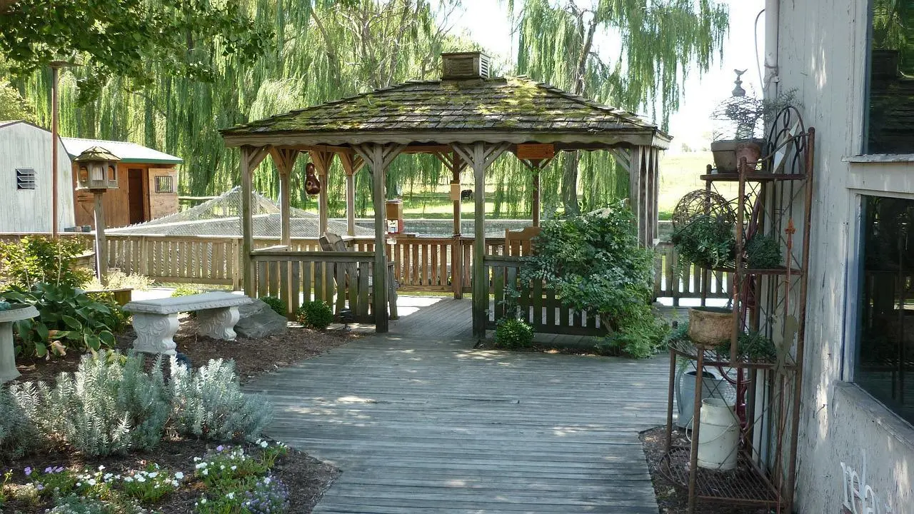 Deck de madera desgastada que conduce a un kiosco de jardín bajo los sauces