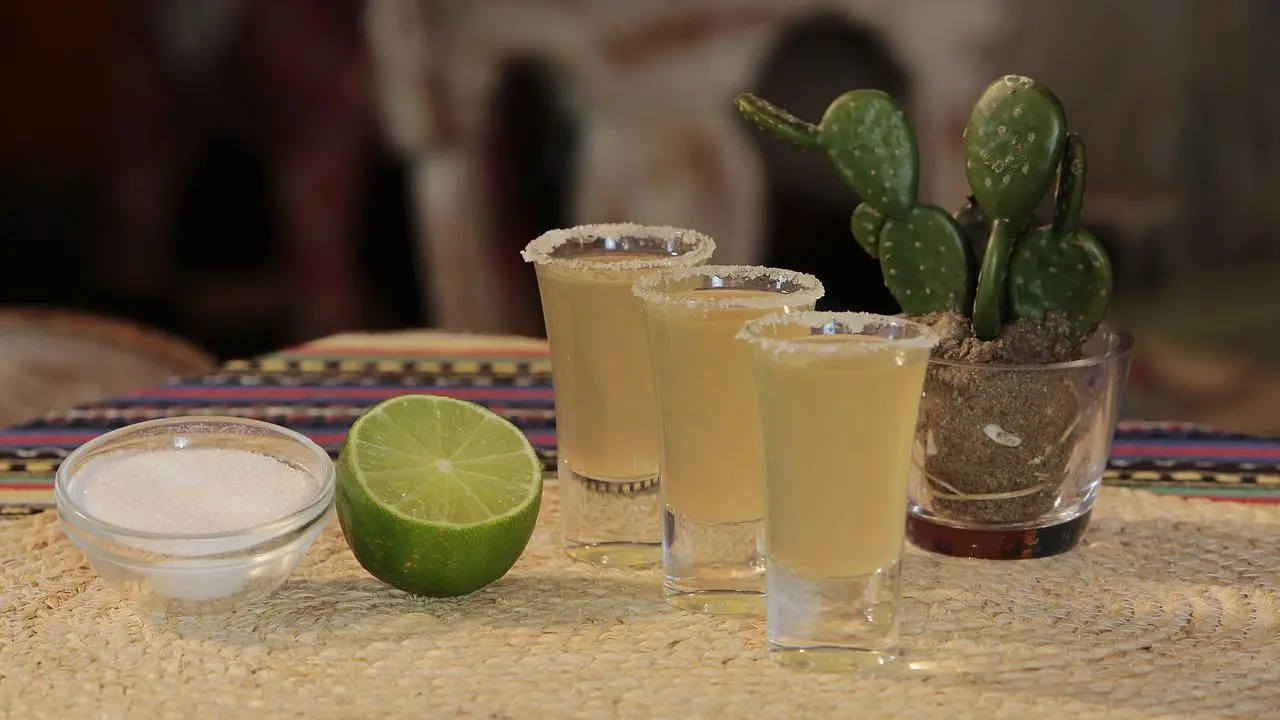 Three shot glasses with salt rims beside a lime, a salt bowl and a cactus